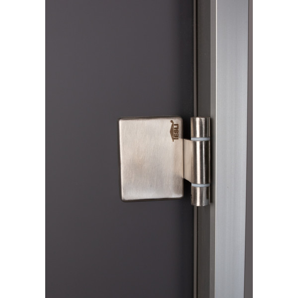 Двери для хамама Tesli Antalya Graphite Sateen 1900x700